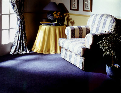 Penthouse Carpets
